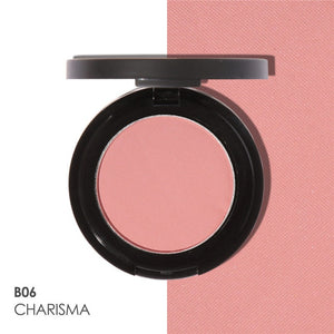 new FOCALLURE 11 Colors Face Mineral Pigment Blusher Blush Powder Brozer Cosmestics Professional Palette Blush Contour Shadow
